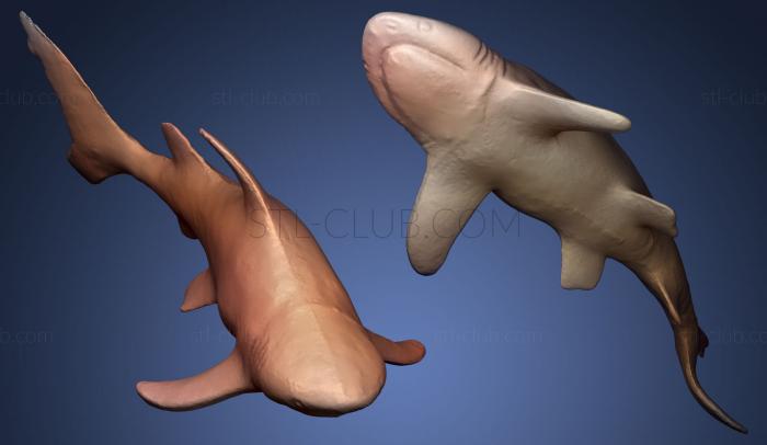 3D мадэль Игрушка с черным кончиком акулы (STL)